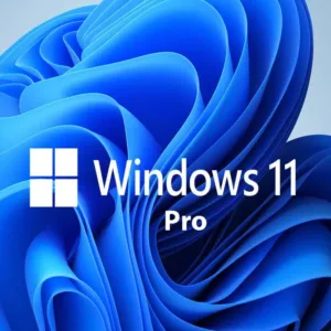 WINDOWS 11 PRO DIGITAL LICENSE